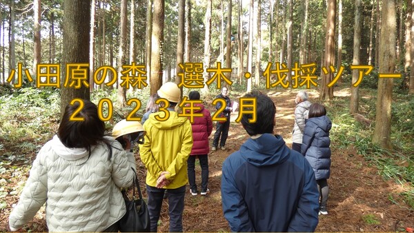小田原の森　選木・伐採ツアー　2023